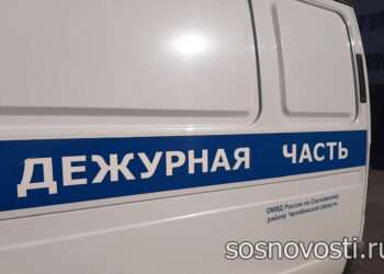 Сосновские полицейские раскрыли дерзкий грабеж
