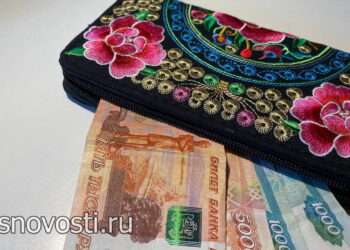 Мошенника, который обманул пенсионерку в Мирном, будут судить