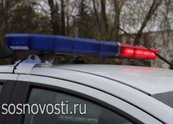В Сосновском районе при столкновении на встречке погиб водитель
