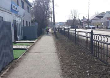 В природе наблюдается невероятная стабильность