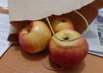 Старение и питание: как меняется организм человека с возрастом и как его поддержать