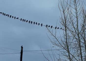 Зима в двух тысячах километрах от Челябинска