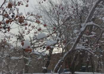 В Челябинской области снова тепло