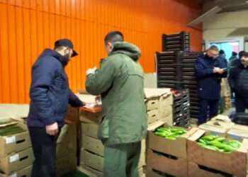 Следователи проверили рынок «Караван» в Сосновском районе