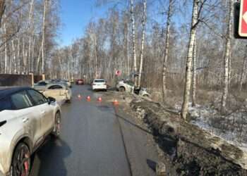 В Сосновском районе водитель съехала в кювет и врезалась в дерево