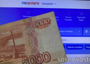 Мошенники представляются «Службой поддержки Госуслуг»