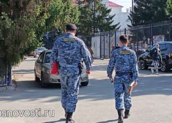 Деньги дошли до адресатов: судебные приставы добились компенсации для жертв преступления