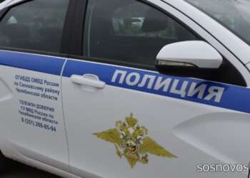 Полицейские предупредили о проверках транспорта и документов