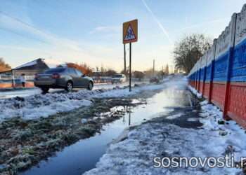 Ресурсоснабжающую организацию в Сосновском районе оштрафовали за разлив канализации