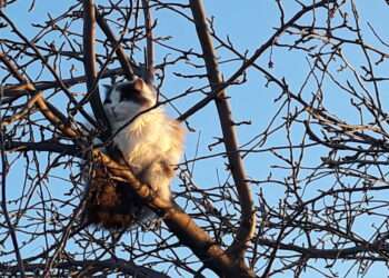 В Челябинской области будет тепло днем и ночью