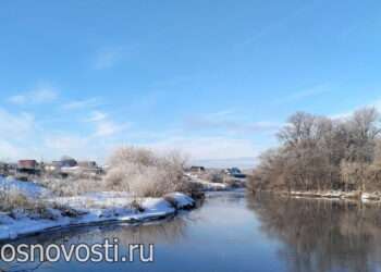 Жители Нового поля обеспокоены появлением волка
