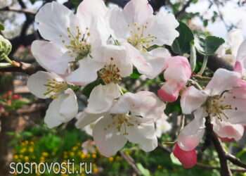 Поздравление с Днем весны и труда