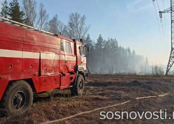 В Челябинской области за сутки ликвидировали шесть лесных пожаров