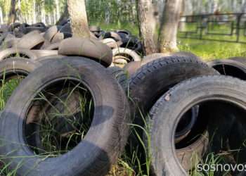 Почему нельзя выкидывать шины в обычный контейнер