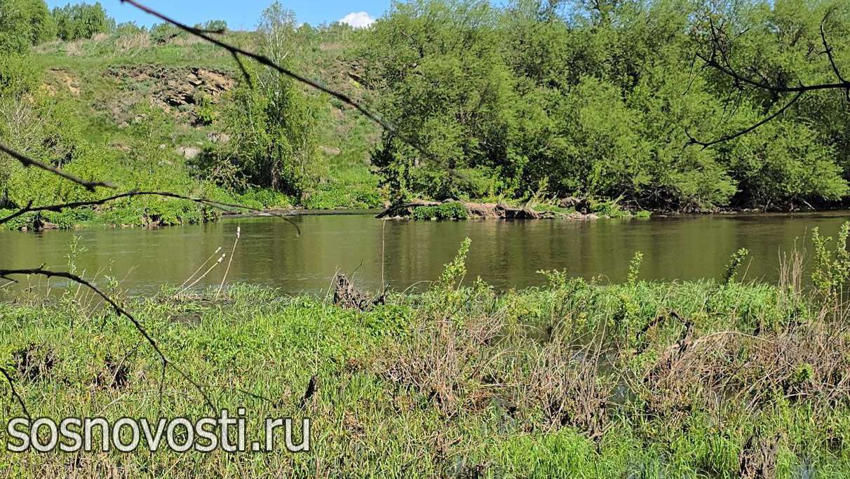 Руины прошлого в Сосновском районе проходят экспертизу