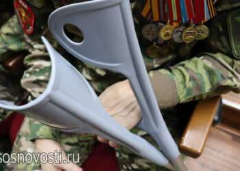 В Челябинской области примут закон о расширении выплат участникам СВО и их семьям