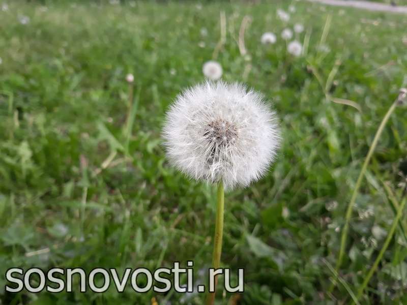 Внезапные грозы, ураганные порывы ветра, умеренная температура и неспокойное солнце