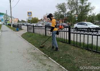 Школьники и студенты Челябинской области сохранят доплату к пенсии, даже если работают летом