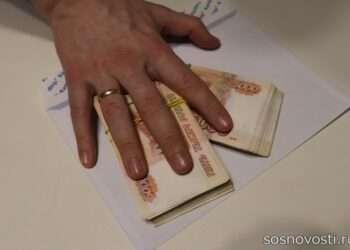 Закон против коррупции: принципы, профилактика и борьба