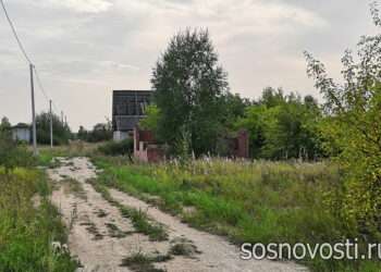 Что надо сделать владельцу земли, чтобы участок не отобрали