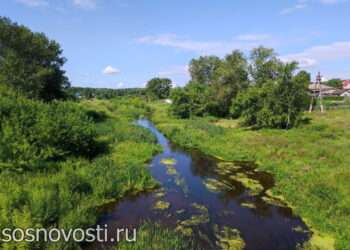 Первое знакомство с Долгодеревенским: свежий взгляд на село