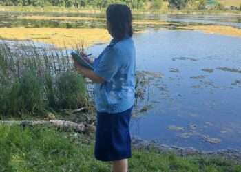 Прокуратура провела проверку по жалобе жителей Архангельского