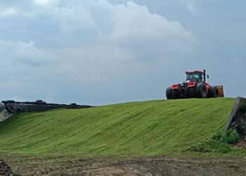 Сенаж и сено: в полях идет заготовка кормов