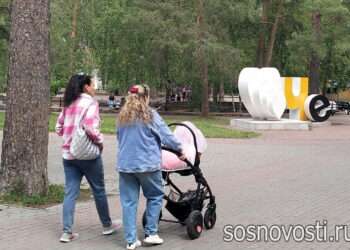 Сосновцы могут получить студенческий капитал