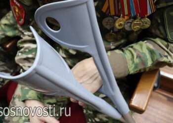 Какие услуги могут получить сосновцы в Едином центре поддержки и реабилитации участников СВО