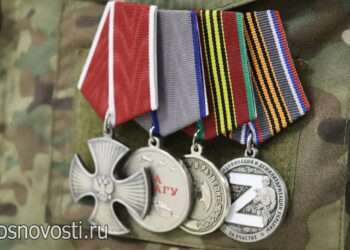 Участников СВО из Челябинской области обучат бизнесу с нуля