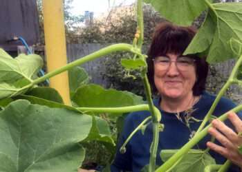 В планах – персики на Урале: жительница Долгодеревенского рассказала о саде