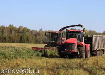 В Сосновском районе убирают ранние овощи и пополняют запасы кормов