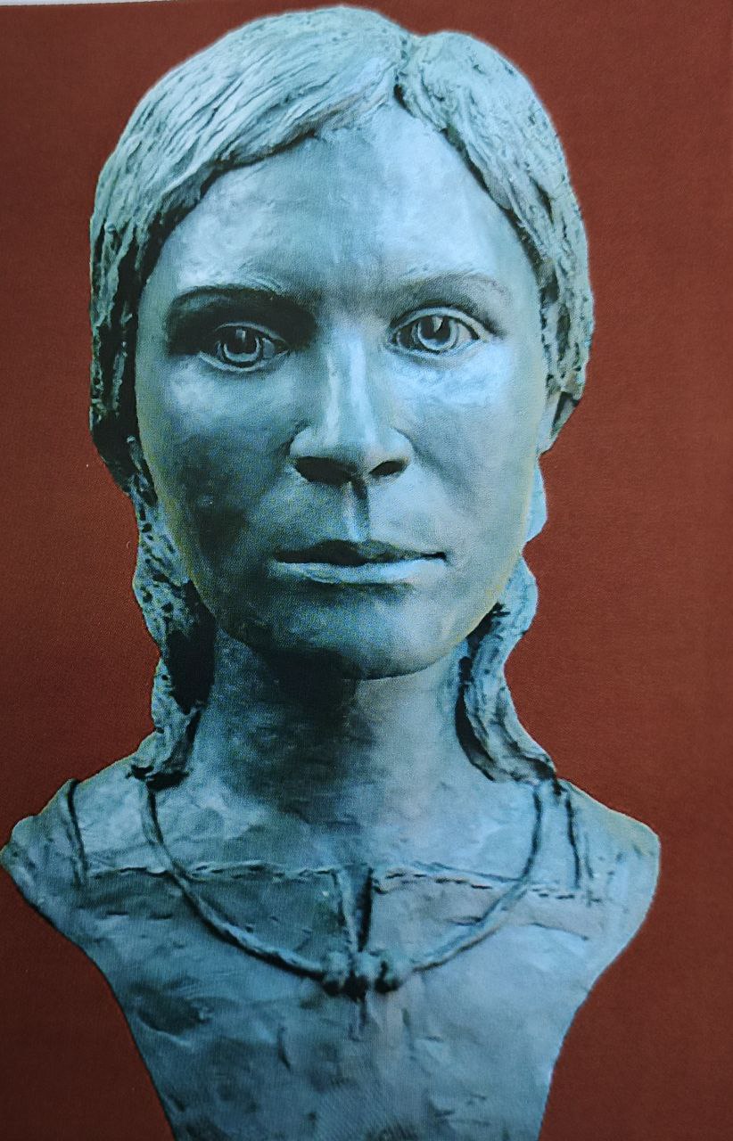 (без названия)