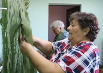 Почему волонтеры меняют цвет маскировочных сетей