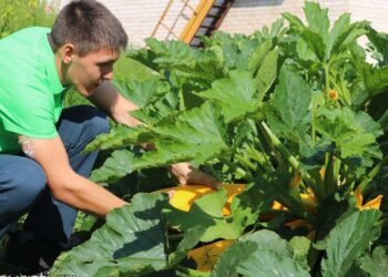 Профи по растениям: в Теченской школе преподают основы сельскохозяйственных знаний