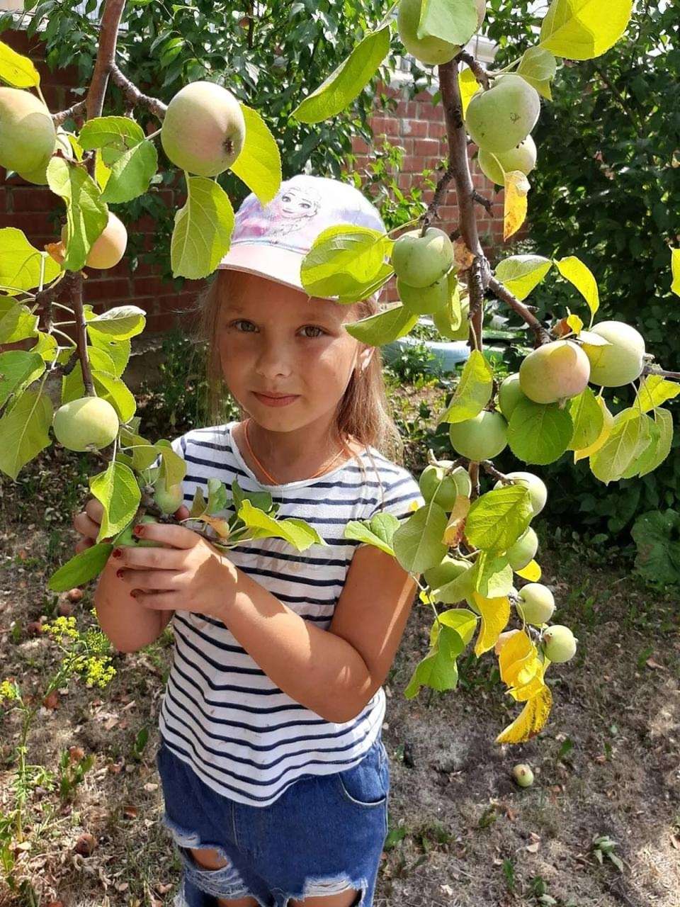 В планах – персики на Урале: жительница Долгодеревенского рассказала о саде