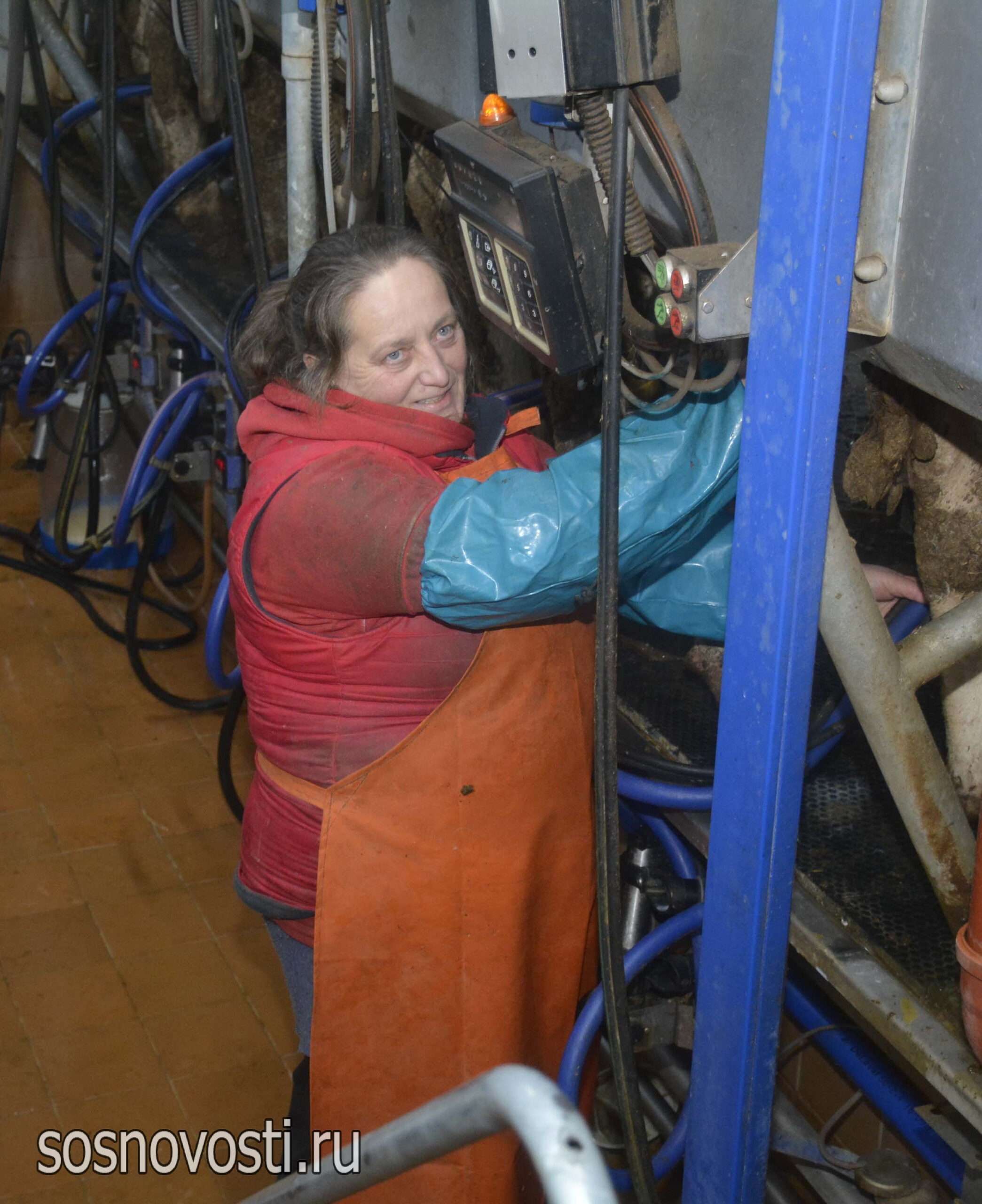 Рационы, надежность, эффект: на фермах готовятся к зимовке