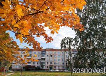 Осень не торопится? Последим за листопадом и приметами