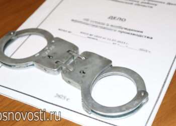 Жительница Долгодеревенского отправится в колонию за нарушение условий условного срока