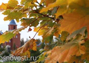 Ждать ли бабьего лета: наблюдаем за погодой