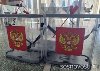 В Сосновском районе проходят выборы депутатов ЗСО и Собрания депутатов