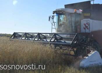 В Сосновском районе ускоряются темпы жатвы зерновых культур