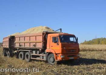 Жатва-2025: бег с барьерами, выигрывает терпеливый