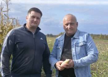 Богатый урожай тормозит уборку: сосновские полеводы приближают завершение работ