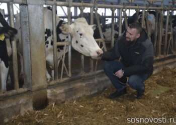 Сегодня – День работников сельского хозяйства и перерабатывающей промышленности 