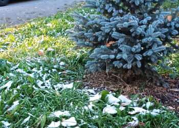 С Трифона-­Пелагеи все холоднее: следим за погодой в октябре