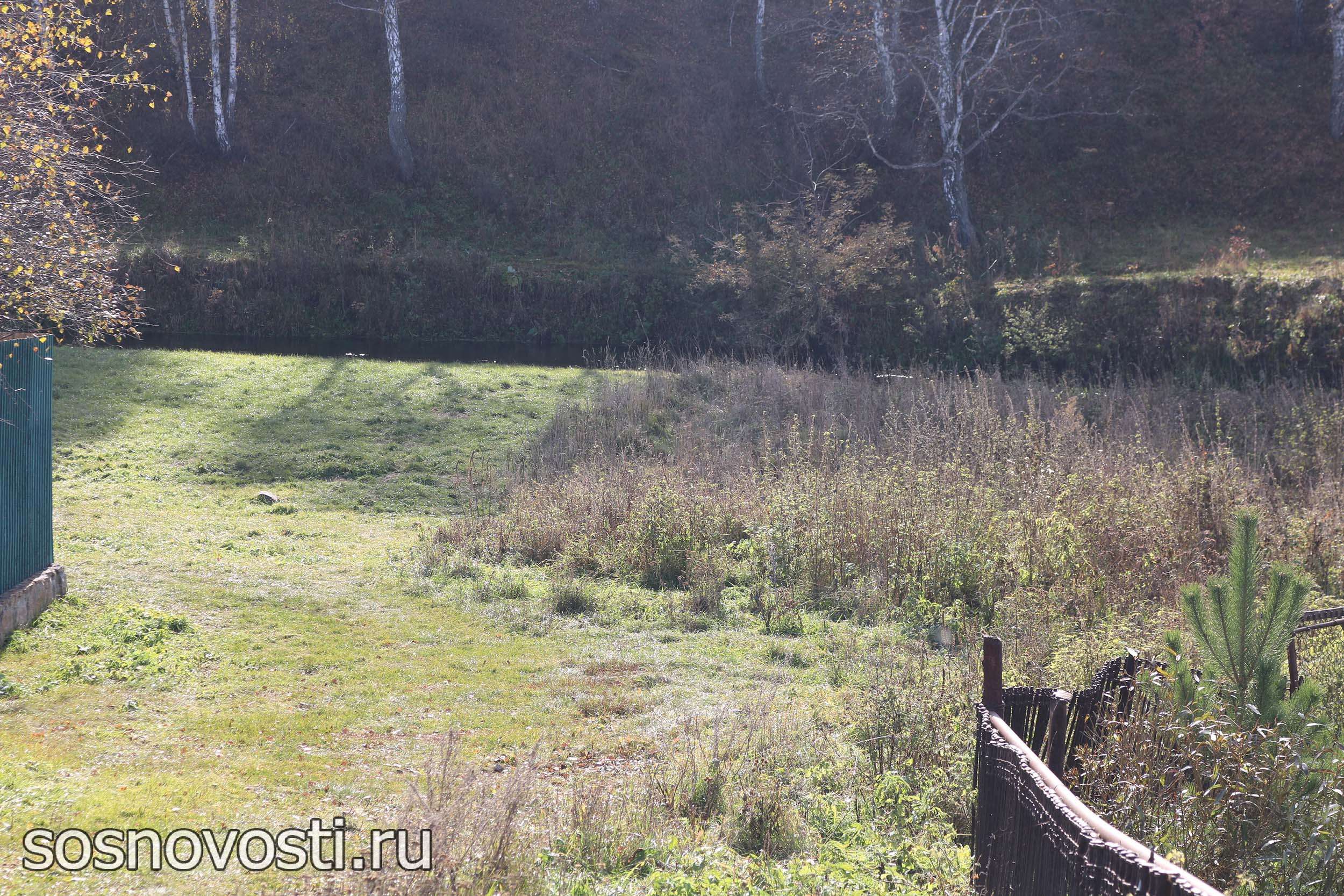 Где живут счастливые утки