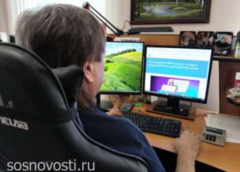 Альтернатива паспорту: сосновцы могут легко создать цифровой ID