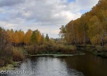 Роза ветров на Астафьев день: народные приметы октября