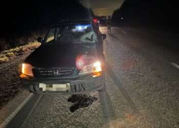 Водитель иномарки насмерть сбил пешехода